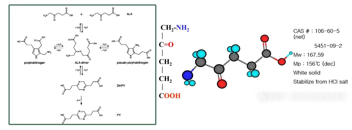 5-Aminolevulinic Acid Powder.jpg